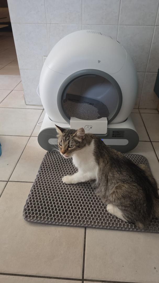 CatBliss™ Self-Cleaning Litter Box · 65 L