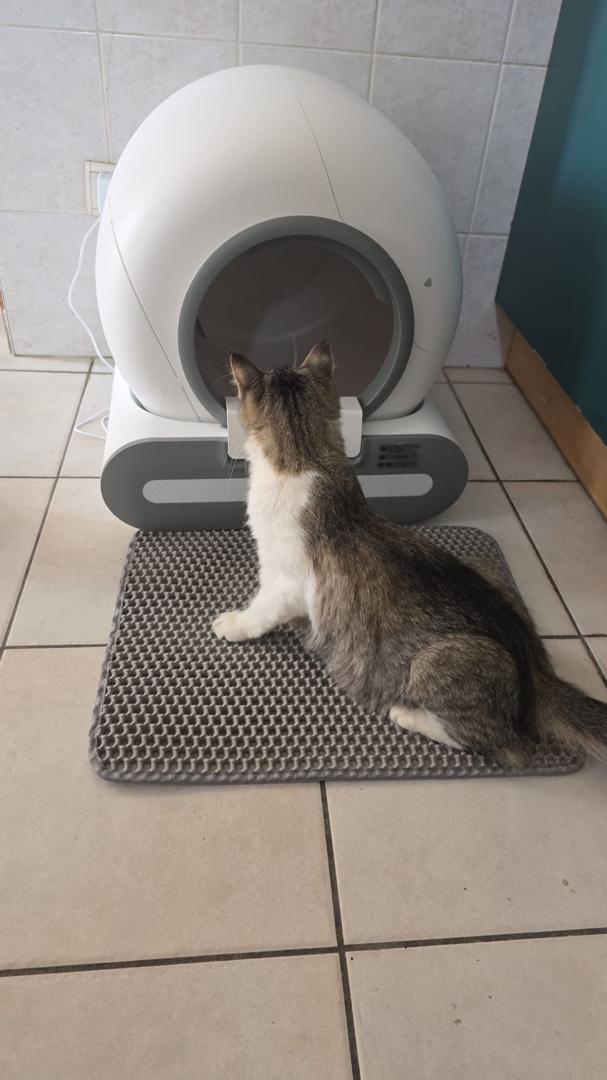 CatBliss™ Self-Cleaning Litter Box · 65 L