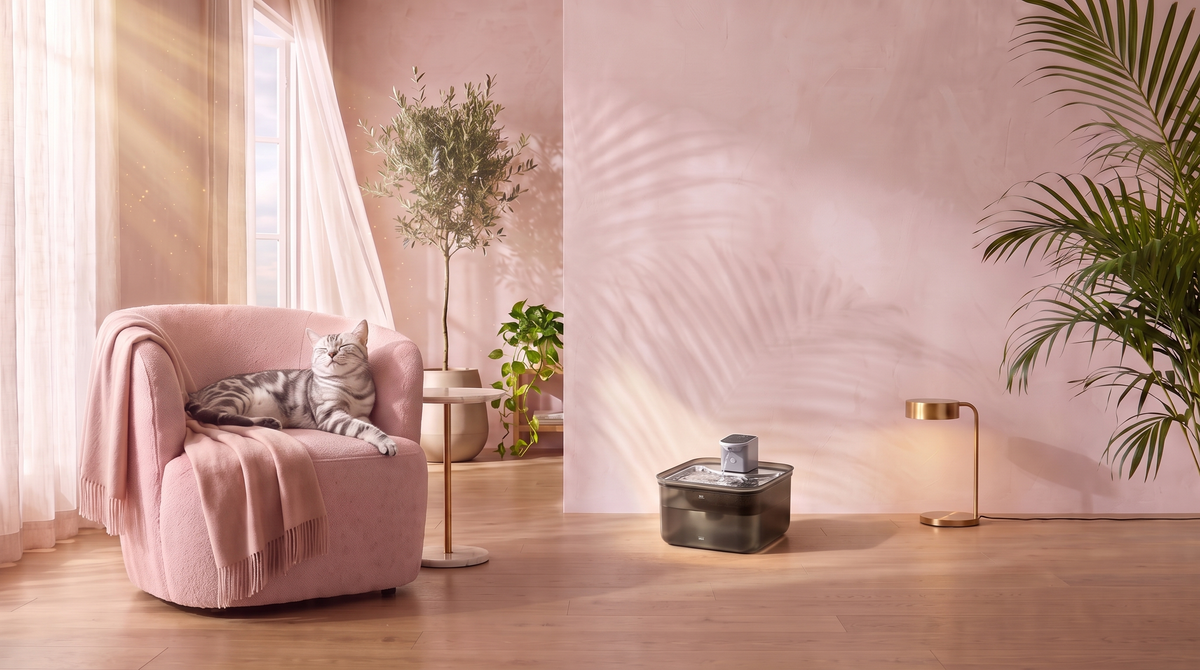 Blissful silver tabby on a blush armchair, CatBliss cordless fountain centre-floor in the light