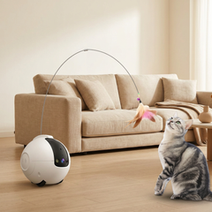 Robot compagnon