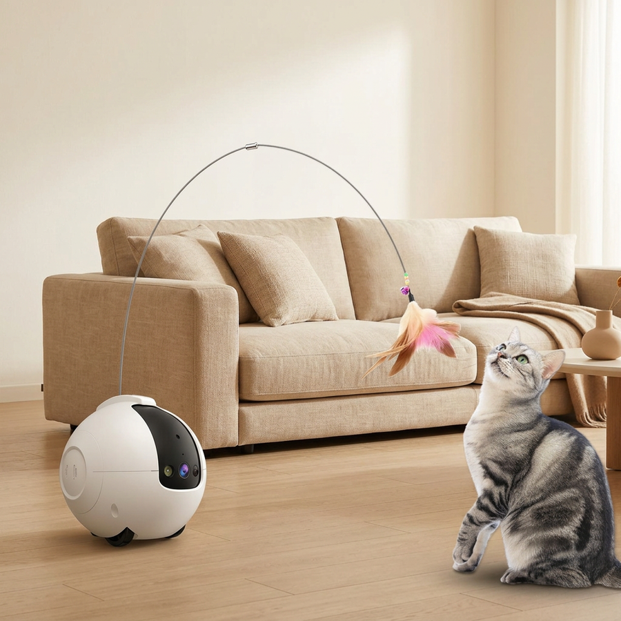 Robot compagnon